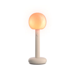 GRAU Fire LED-Akkuleuchte