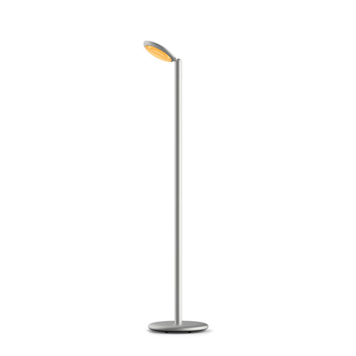GRAU Parrot Floor Portable LED-Akkuleuchte