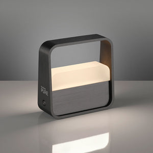 Paul Neuhaus Pure Go 4055 LED-Akkuleuchte
