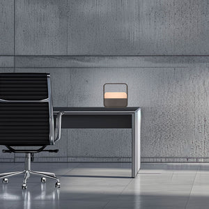 Paul Neuhaus Pure Go 4055 LED-Akkuleuchte Dark-Metal Brown +++ Musterleuchte +++