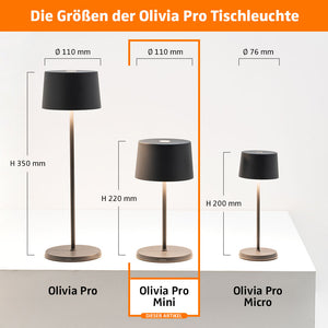 Zafferano Olivia Pro Mini LED-Akkuleuchte