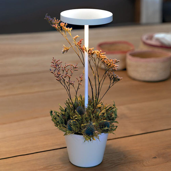 Zafferano Poldina Reverso LED-Akkuleuchte